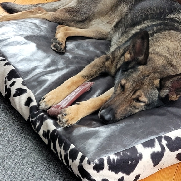 Meet your Posher, Kelly - Picture 9 of 9